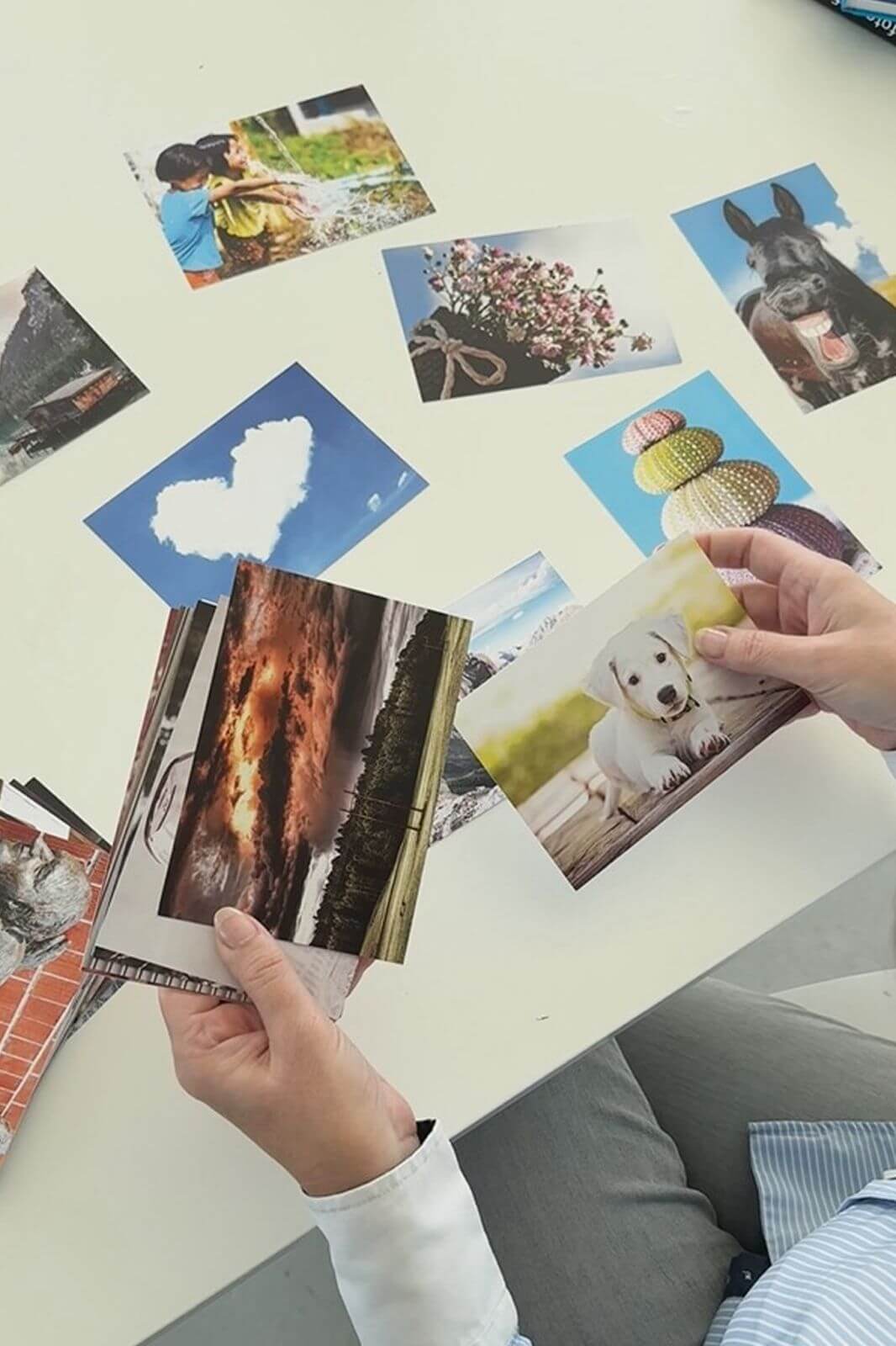 Sabine Thier Bildkraft Kreativität und Perspektivwechsel