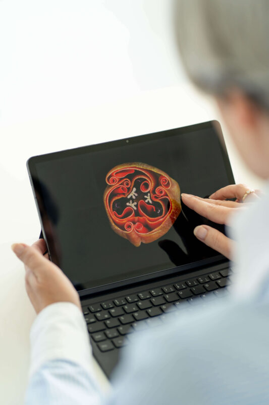 Sabine Thier Bildkraft Verkuerzte Sitzungszeit